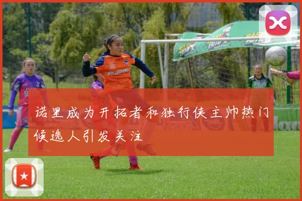 诺里成为开拓者和独行侠主帅热门候选人引发关注