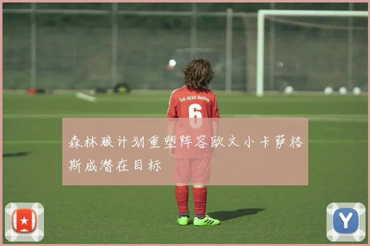 森林狼计划重塑阵容欧文小卡萨格斯成潜在目标